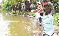 Vốn Hội giúp nông dân Hà Nam làm giàu