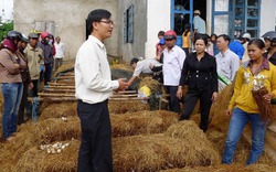 Học nghề xong, hàng nghìn hộ nông dân thành hộ sản xuất giỏi