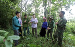 Người dân Lai Châu ấm no nhờ dịch vụ môi trường rừng