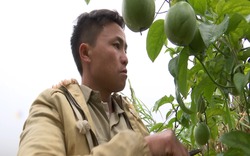 “Hội đã giúp tôi nhiều kinh nghiệm phát triển kinh tế”