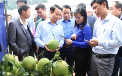 Hiệu quả “ngày về cơ sở xây dựng NTM” ở Mai Sơn