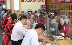 Agribank đạt 650 ngàn tỉ đồng dư nợ cho vay nông nghiệp nông thôn