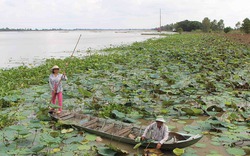 Ngao du miền Tây mùa xả lũ xem bắt cá, tôm, không vui không "tính tiền"