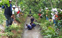 Thăm vành đai xanh trên vòng cung tuyến lửa