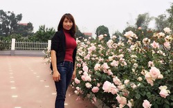 Sở hữu vườn hồng "cả trời yêu thương", mẹ 7x ở Thủ đô chia sẻ 4 mẹo cực dễ để có hoa đẹp