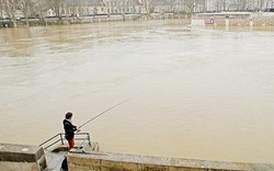 Lệnh cấm đánh bắt và câu cá có thể được Pháp thực thi tại thủ đô Paris