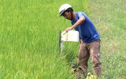 600kg phân bón/ha, đất nào chịu nổi? 