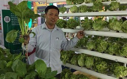 Người làm mô hình trồng rau không cần đất đầu tiên ở Nghệ An
