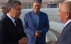 Tổng thống Uzbekistan tự chăn nuôi 100 con gà tại vườn nhà