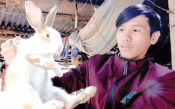 “Hot boy” xứ Quảng kiếm trăm triệu từ nuôi giống thỏ lai