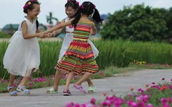 Đẹp ngỡ ngàng những con đường làng rực rỡ hoa mười giờ ở Hải Dương