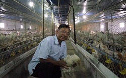 "Vua" gà đất Nam Định sở hữu 20.000 con gà, lãi 50 triệu đồng/tháng