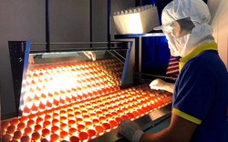 Công ty Ba Huân và tâm niệm thay đổi thói quen để sử dụng trứng sạch