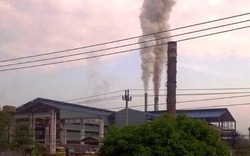 Nhà máy đường bị đóng cửa vì ô nhiễm, 28.000 tấn mía mắc kẹt