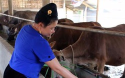 Người phụ nữ Thái vượt lên khuyết tật, làm giàu từ mô hình trồng trọt kết hợp chăn nuôi