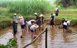 “Mỏ vàng” du lịch nông nghiệp Việt chờ khai phá