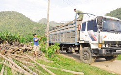 3 chàng trai đa tài vào chốn "thâm sơn" khởi nghiệp làm giàu