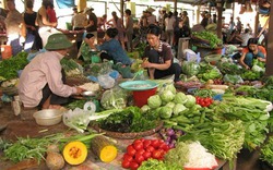 Cách "săn" thực phẩm sạch của dân văn phòng