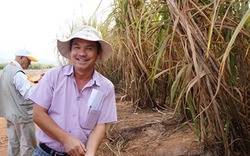Khi các tỷ phú Việt đua nhau làm “nông dân”