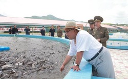 Thăm trại nuôi cá, ông Kim Jong-un khen cá trê nhìn giống… thỏi vàng
