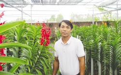 Người "bén duyên" với giống hoa lan Mokara ở Đà Nẵng