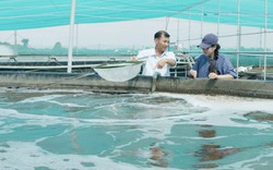 Dùng bể tròn vách đứng tận thu chất thải của tôm để nuôi cá kèo
