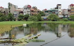 Sẽ “hồi sinh” hồ Rẻ Quạt