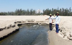 Ô nhiễm môi trường biển tại các vùng nuôi tôm ở Hà Tĩnh