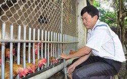 Tỷ phú nuôi gà công nghệ cao ở Vĩnh Phúc