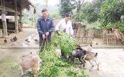 Vận động tốt, Quỹ hỗ trợ nông dân của Thông Nông dồi dào