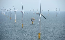 Trang trại gió ngoài khơi lớn nhất thế giới