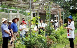 Du lịch nông nghiệp mở thêm hướng làm giàu của nông dân Việt Nam