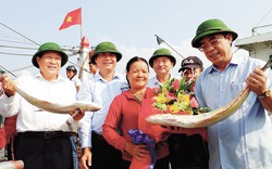 Gio Linh (Quảng Trị): Kinh tế biển phát triển tích cực