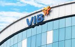 VIB thưởng hơn 7,7 triệu cổ phiếu quỹ cho 4.800 cán bộ nhân viên