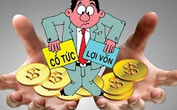 Điệp khúc “không” cổ tức" có khiến cổ phiếu ngân hàng giảm hấp dẫn?