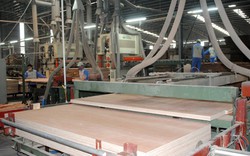 Bộ Công Thương điều tra chống bán phá giá đối với sản phẩm ván gỗ công nghiệp