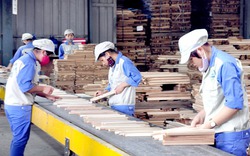 Xuất khẩu gỗ và lâm sản 4 tháng đầu năm tăng xấp xỉ 18%