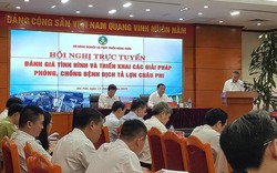 Dập dịch tả lợn châu Phi: Đề xuất tăng hỗ trợ