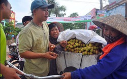 "Thủ phủ" vải thiều mất mùa, giá “leo thang”