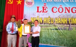 Quảng Ngãi: Công bố nhãn hiệu Hành tím Bình Hải