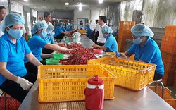 TPHCM đẩy mạnh hỗ trợ chương trình "mỗi xã một sản phẩm"