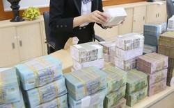 VAMC lên kế hoạch thu hồi 50.000 tỷ đồng nợ xấu trong năm 2019