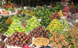 Rau quả Việt Nam chinh phục các thị trường khó tính