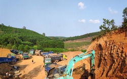 Người dân nghi ngại DN núp bóng làm trang trại để “tận thu” đất đi bán tại Núi Thành - Quảng Nam