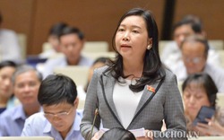 Đại biểu Quốc hội quan ngại việc người Việt đứng tên mua nhà cho người nước ngoài