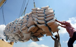 An Giang: Kim ngạch xuất khẩu gạo 4 tháng tăng 33%