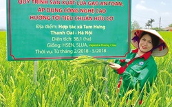 Người đi tìm giá trị hạt ngọc Việt