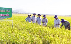 Hiệu quả nguồn Quỹ Hỗ trợ nông dân ở Khánh Hòa