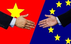 Hôm nay, Việt Nam ký EVFTA giảm thuế 99% với EU