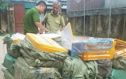 Hà Nội: Tạm giữ 1,35 tấn nầm lợn không có nguồn gốc